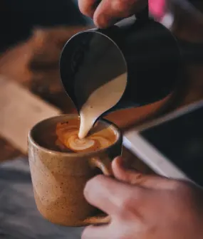 Selecció de tapes casolanes del Restaurant La Colònia